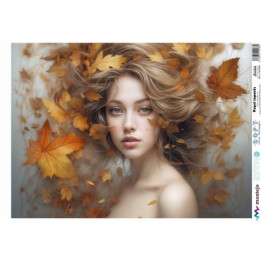 copy of 